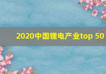 2020中国锂电产业top 50